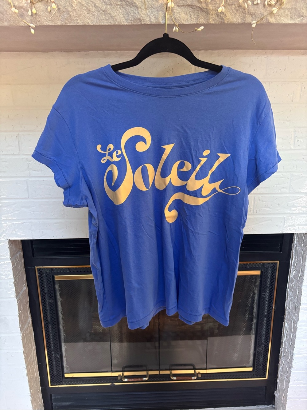 Universal Thread Royal Blue Short Sleeve Tee with Gold 'Le Soleil' Script